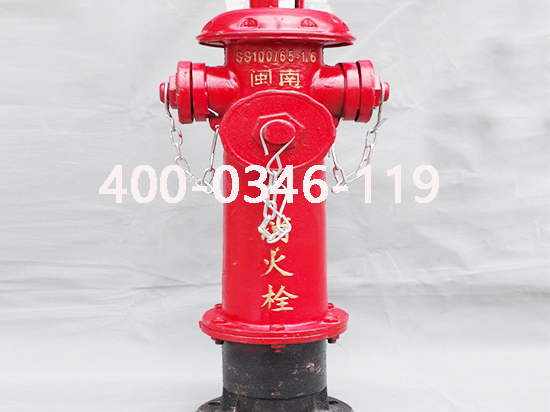 ����˨˨�ڱ��B(y��ng)