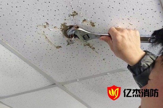 ���������^©ˮ���������Լ����Q�᣿